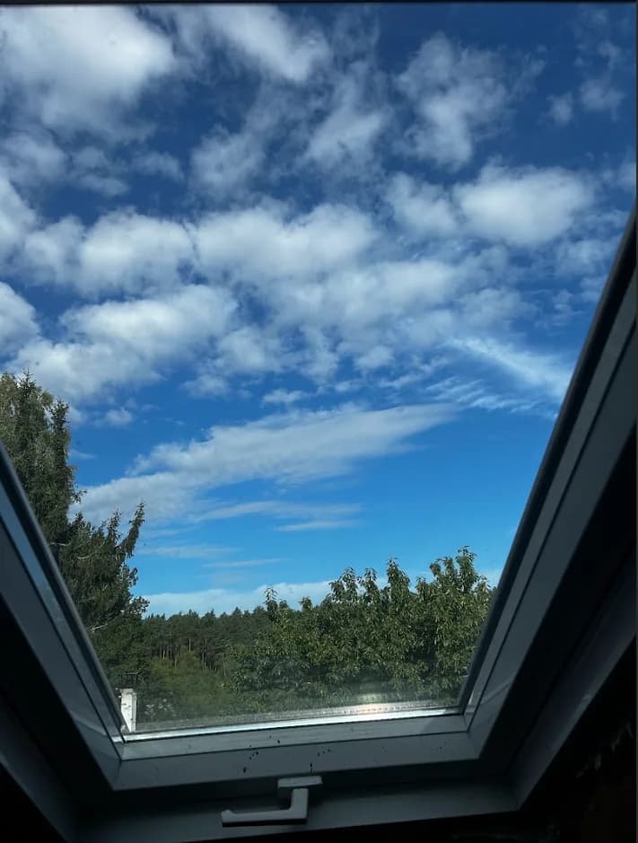 Sauber und streifenfrei gereinigtes Dachfenster