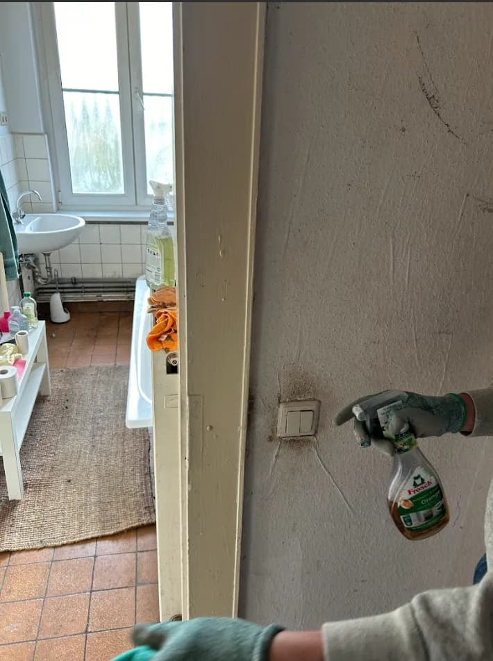 Messiewohnungen und Sonderreinigungen: Ablauf, Ausrüstung und rechtliche Hinweise