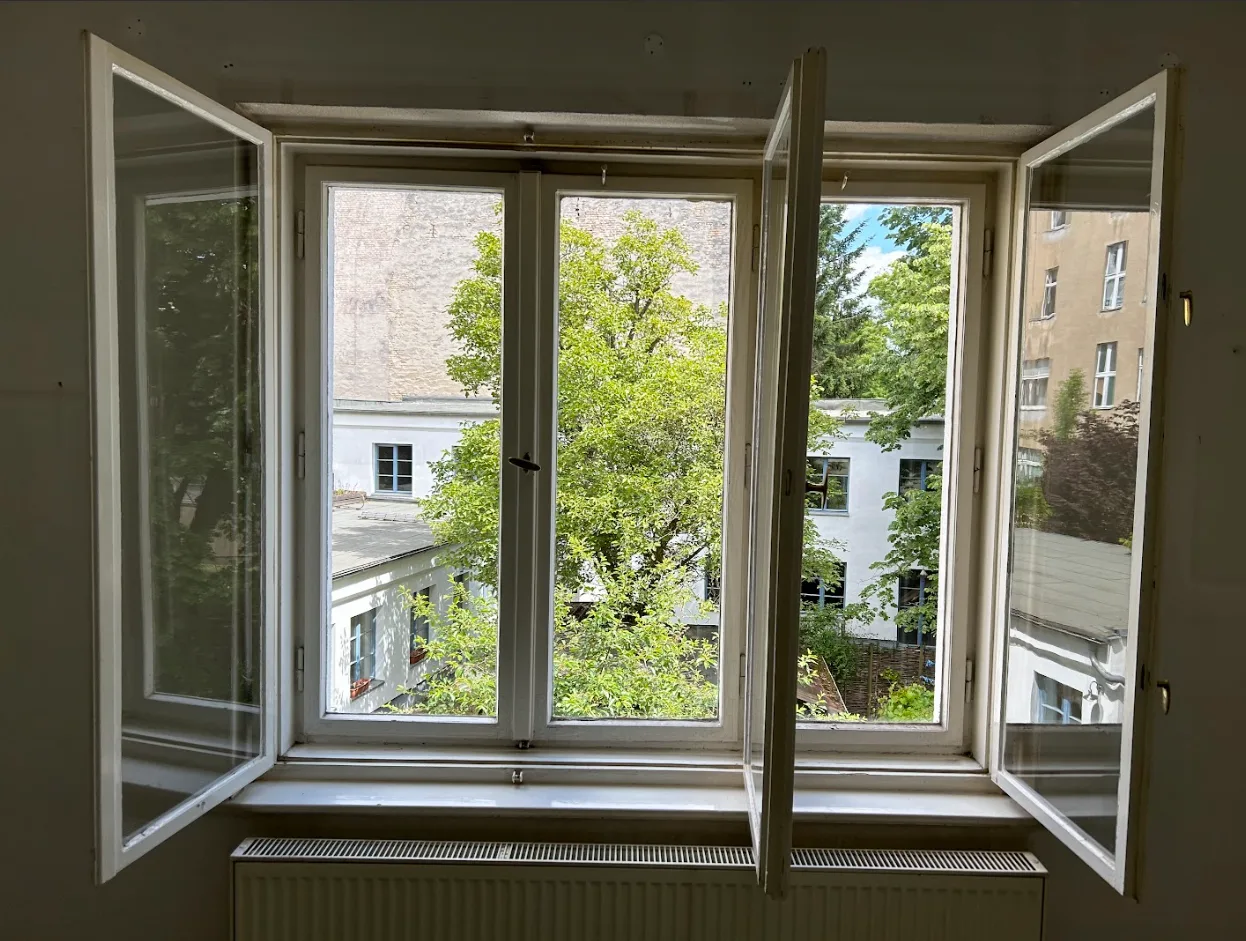 Fensterreinigung